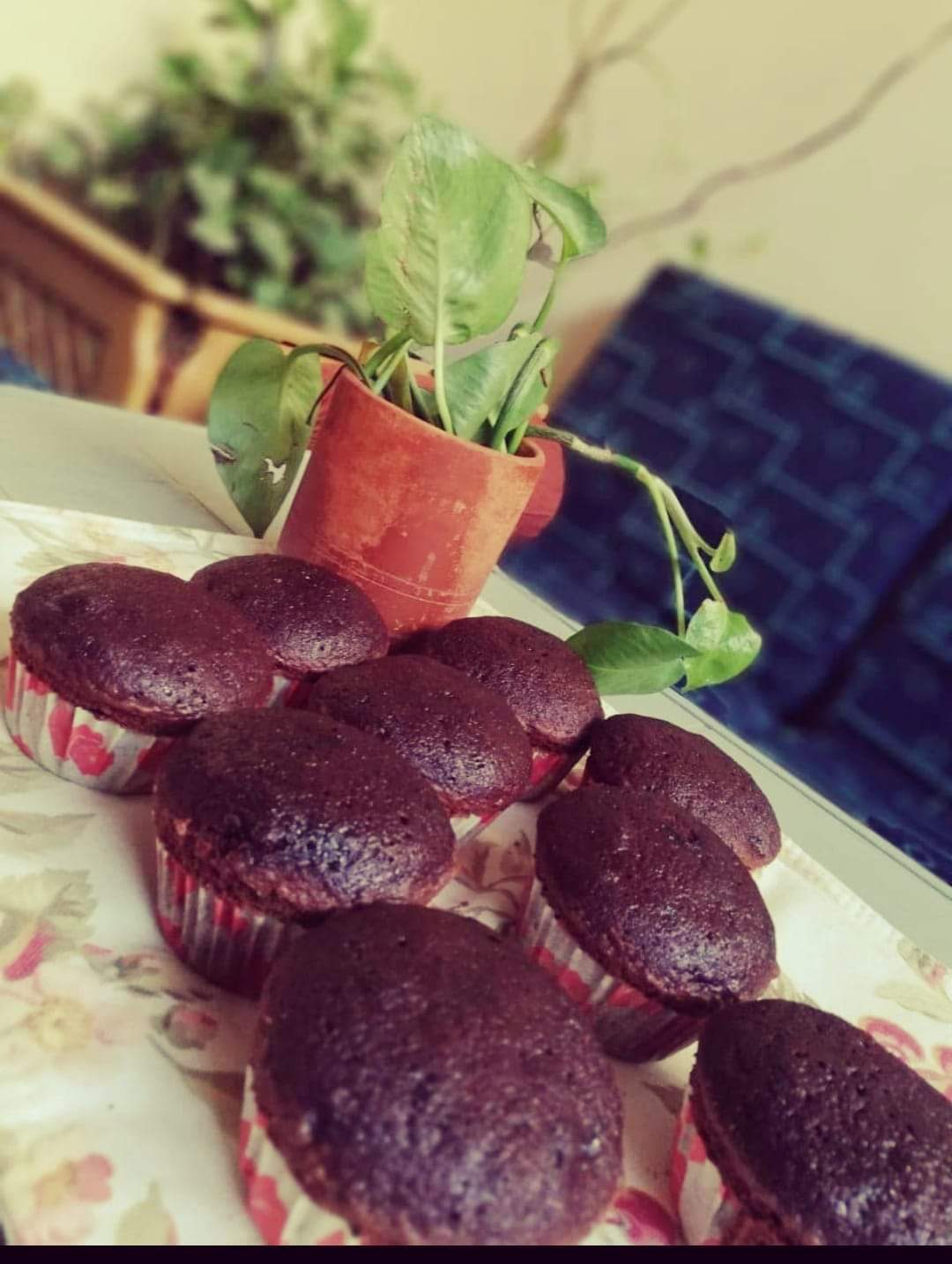 Chocolate Cupcakes By Zeenat Muneer